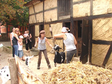 Ecomuse d'alsace - Photo BERTHEVILLE